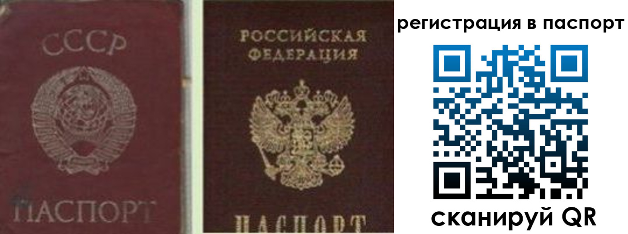 прописка для школы в Шумерле
